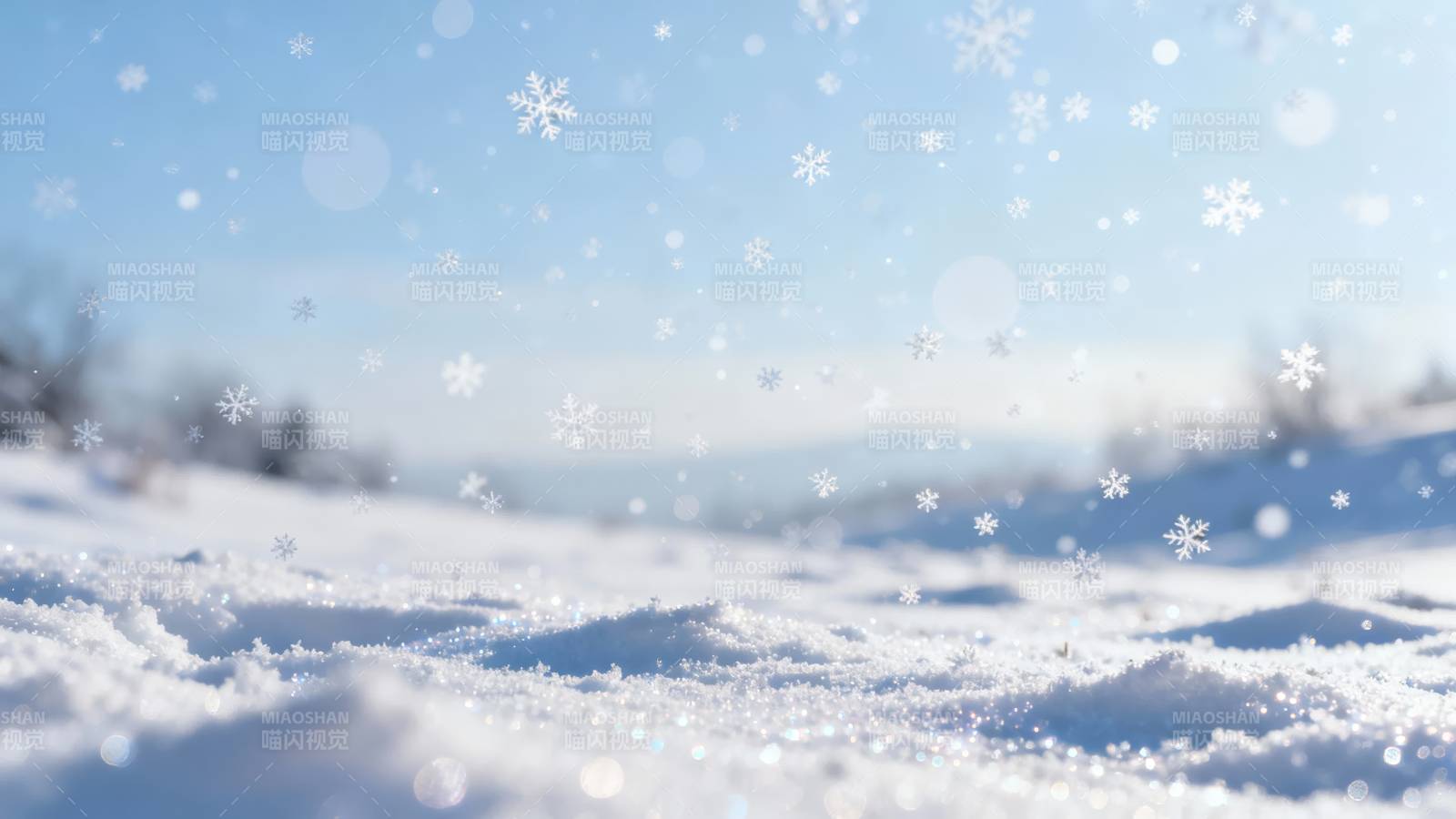 雪落冬日静谧景图片