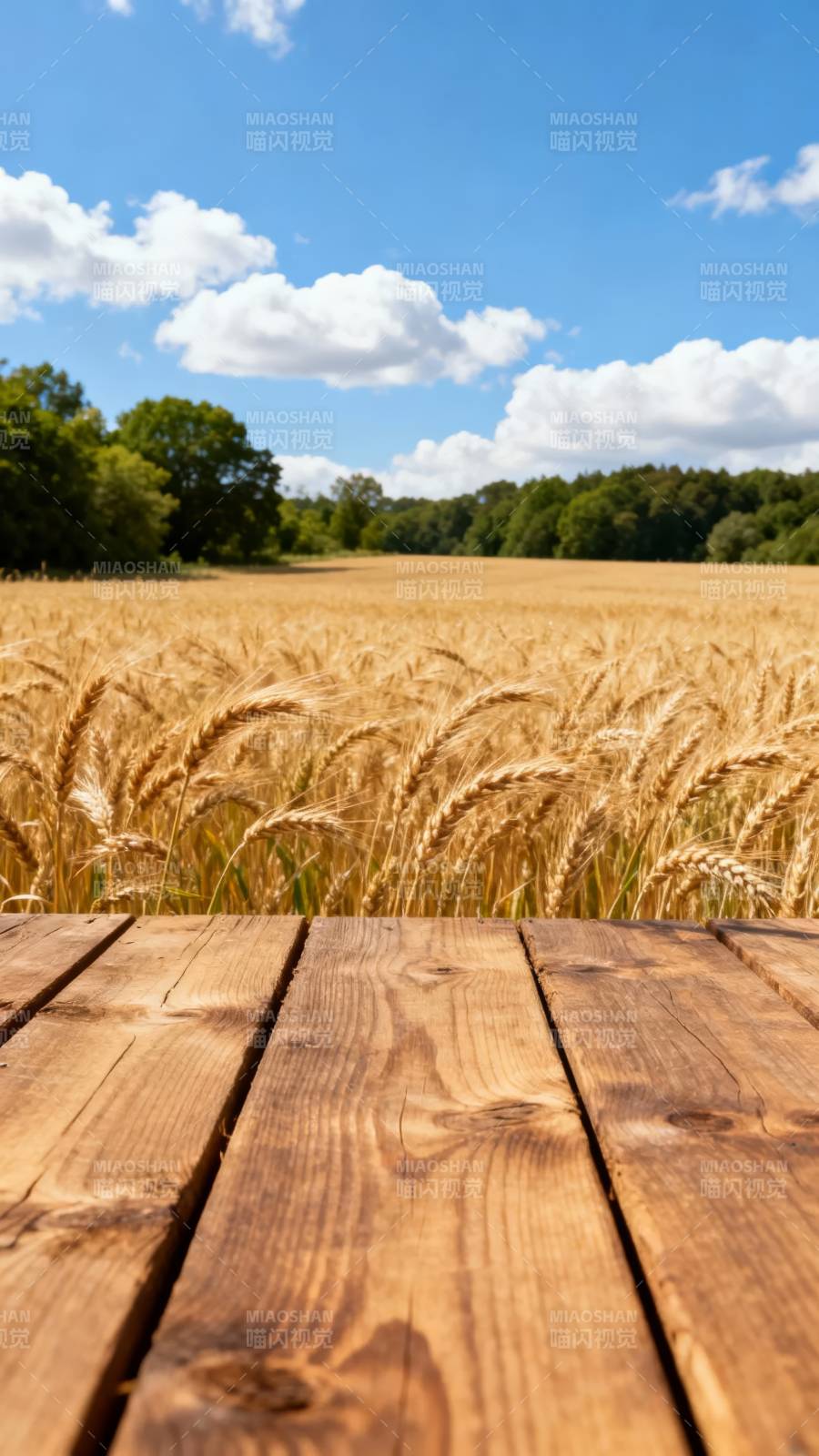 麦田木桌静景图片