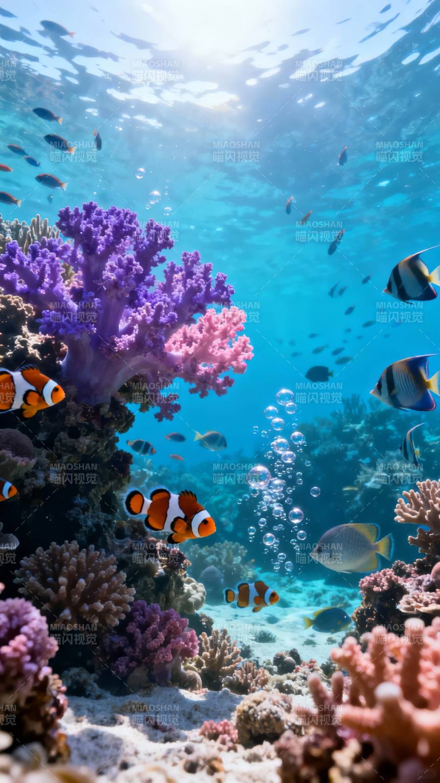 珊瑚礁鱼群游弋图片
