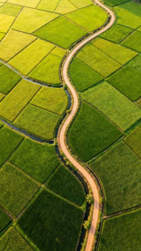 绿野蜿蜒路图片