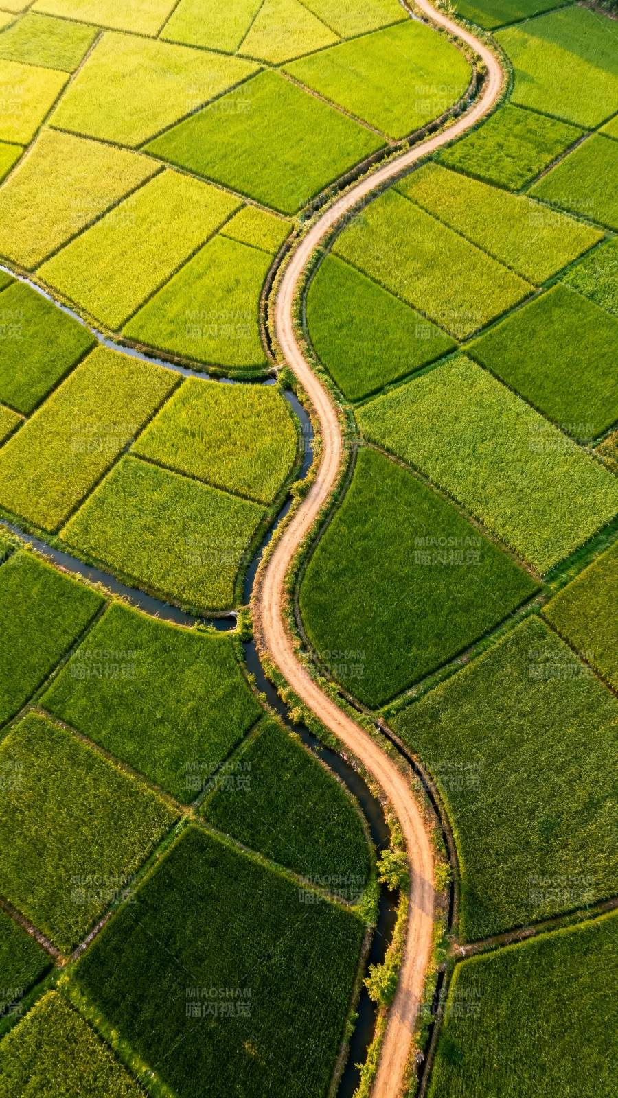 绿野蜿蜒路图片
