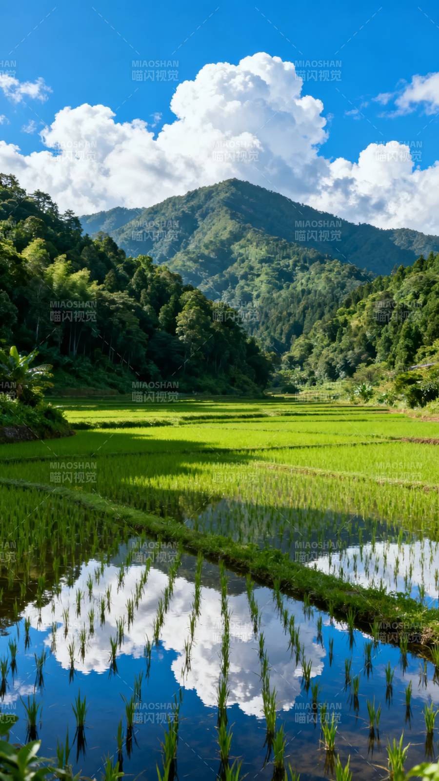 青山绿水映云天图片