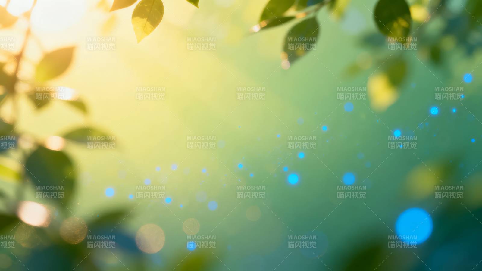 阳光透过绿叶图片