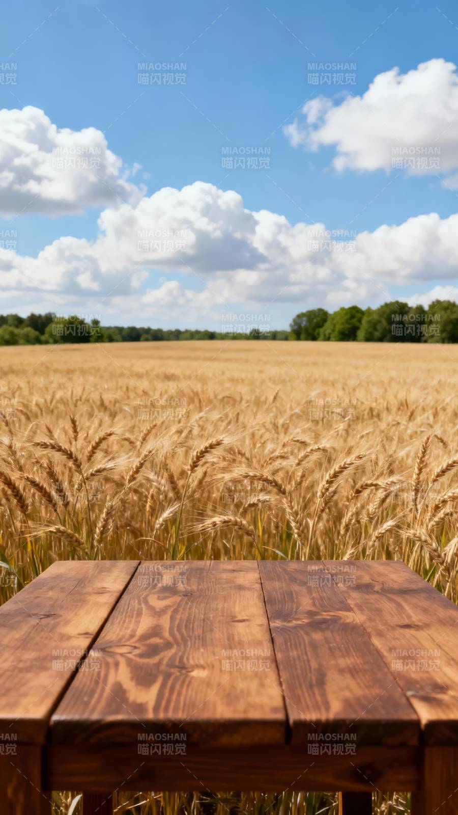 麦田木桌静景图片