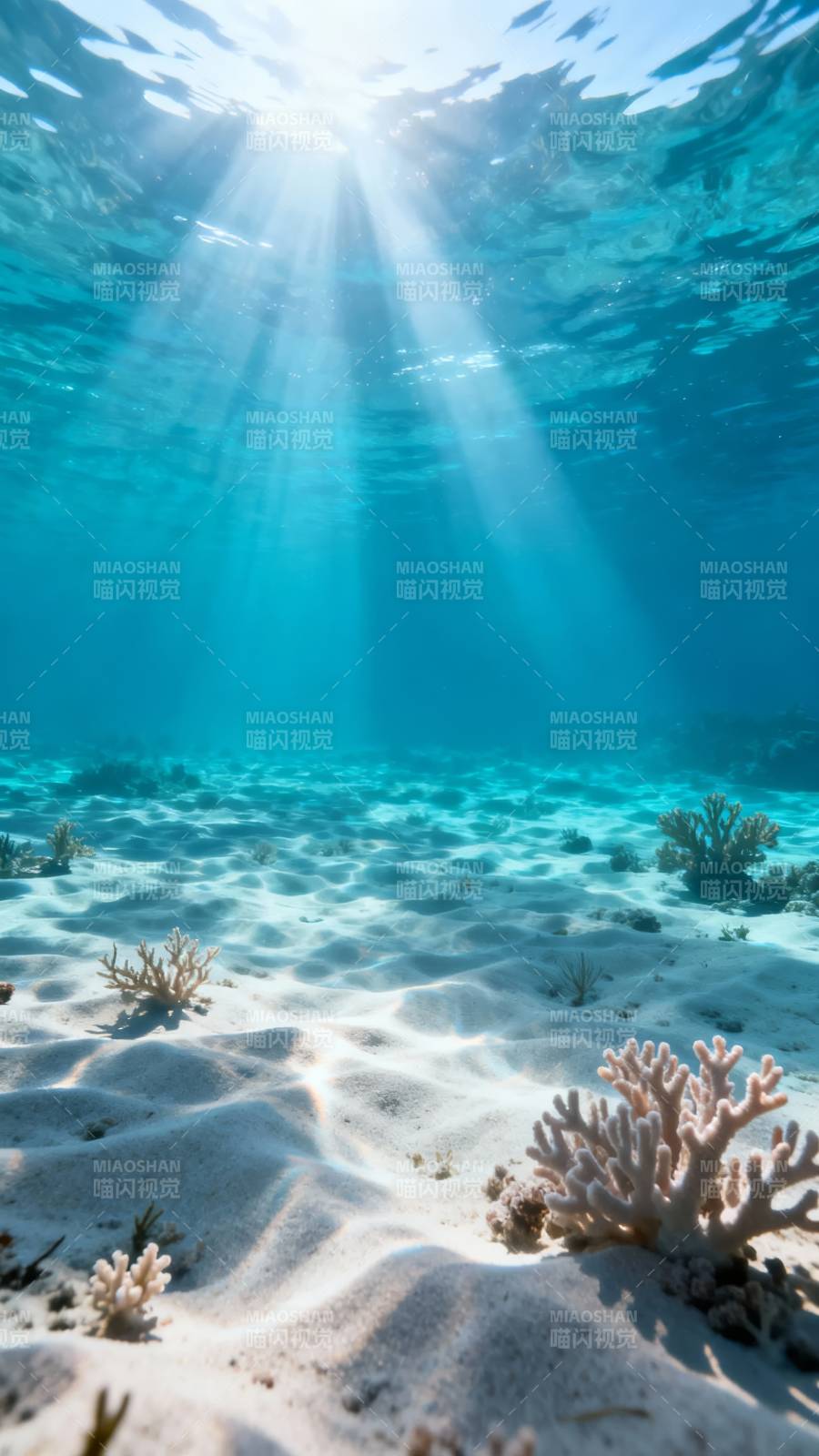 海底阳光穿透图片