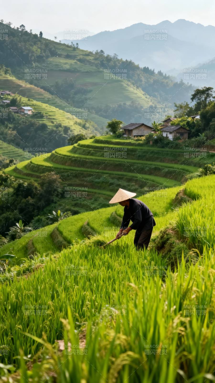 梯田劳作图图片
