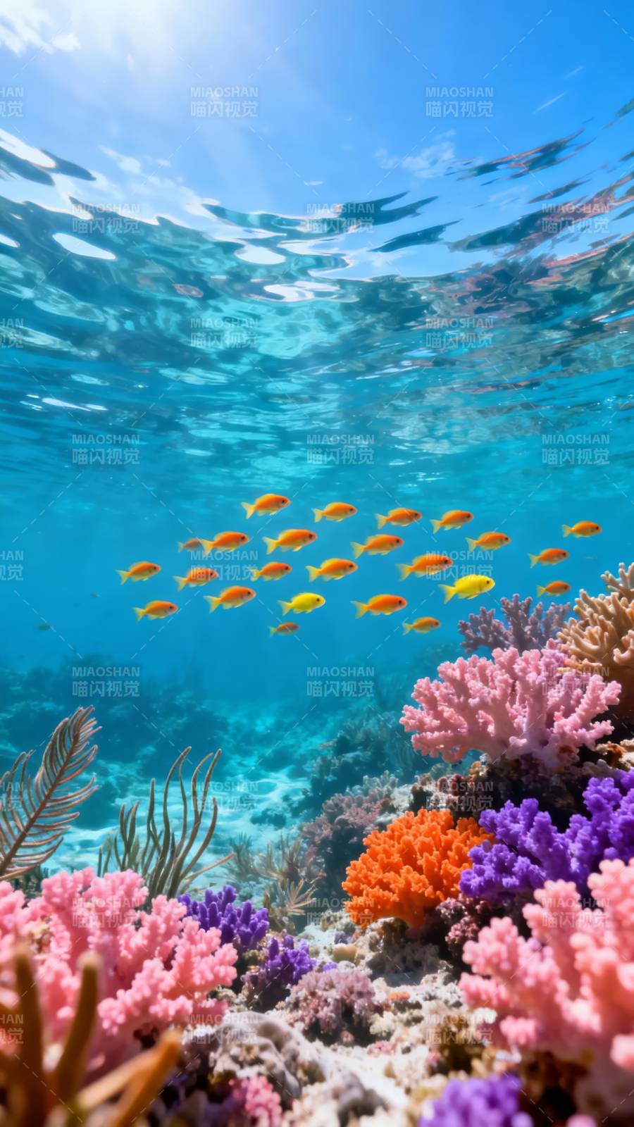 海底珊瑚鱼群图片