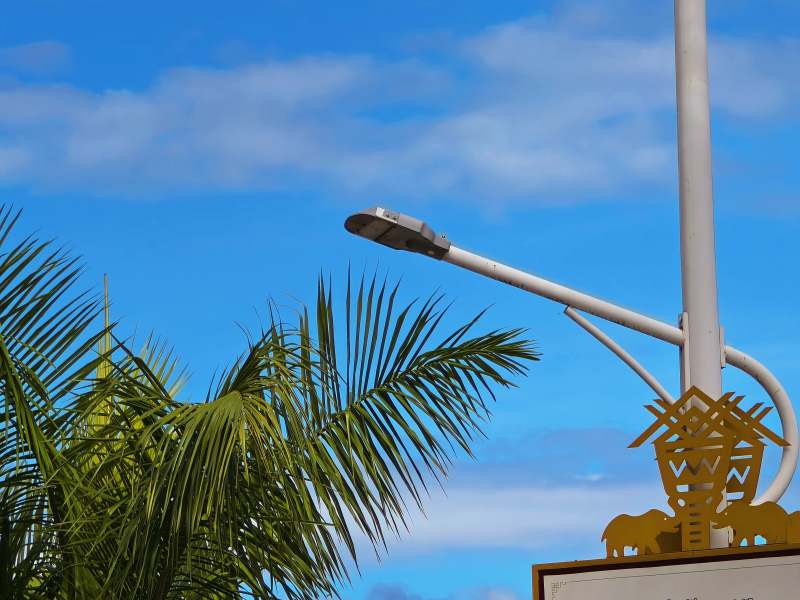 西双版纳椰风灯影图片