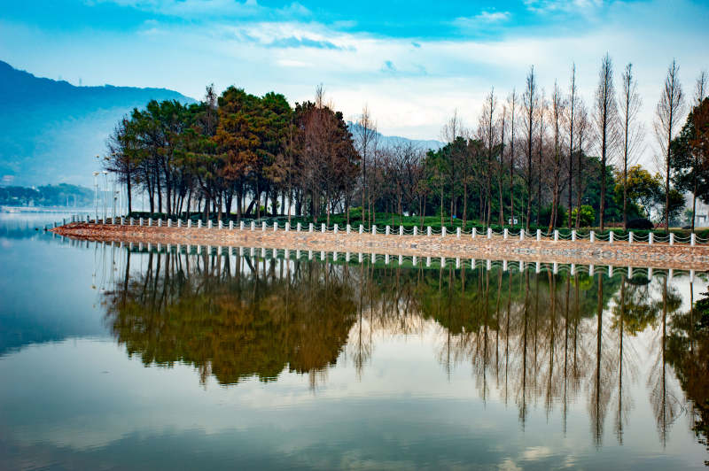 花海公园水杉图片
