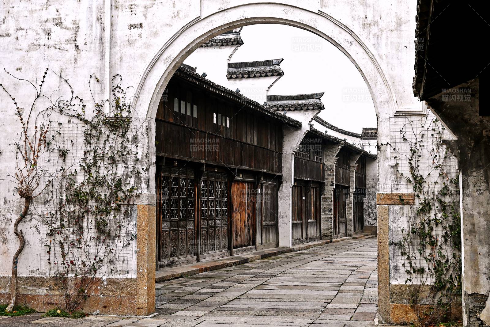 浙江盐官古镇古巷幽深 白墙黛瓦图片