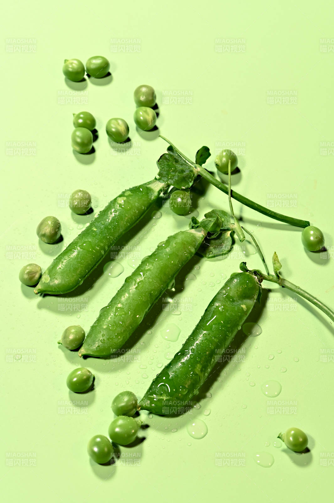 新鲜饱满青翠欲滴的青豆特写图片