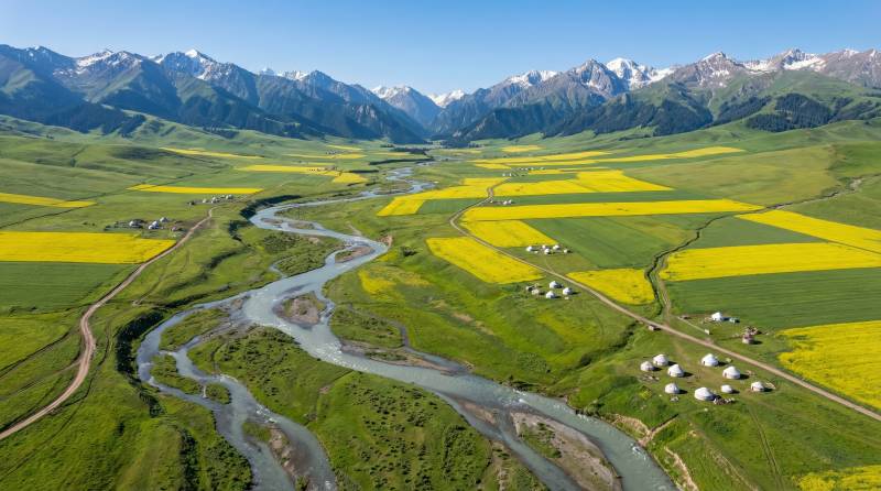 雪山下的金黄草原图片