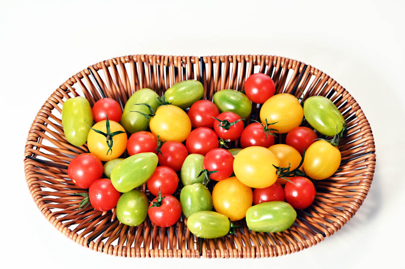 爆浆多汁鲜嫩可口多彩小番茄特写图片