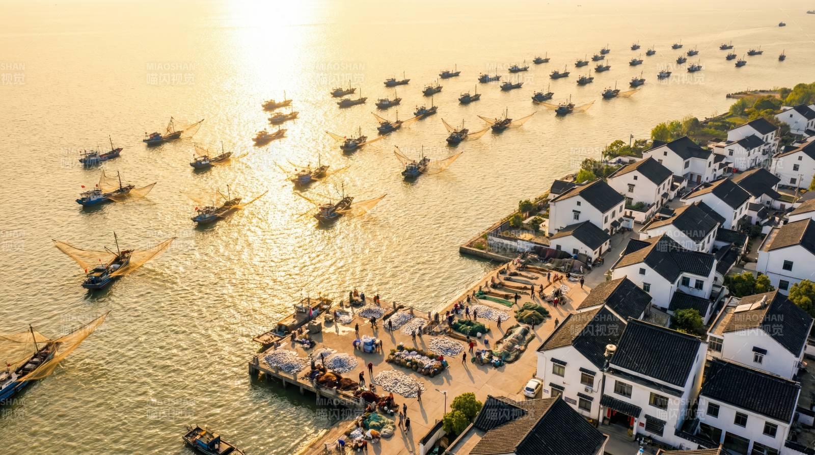 渔港晨曦 船影点点图片