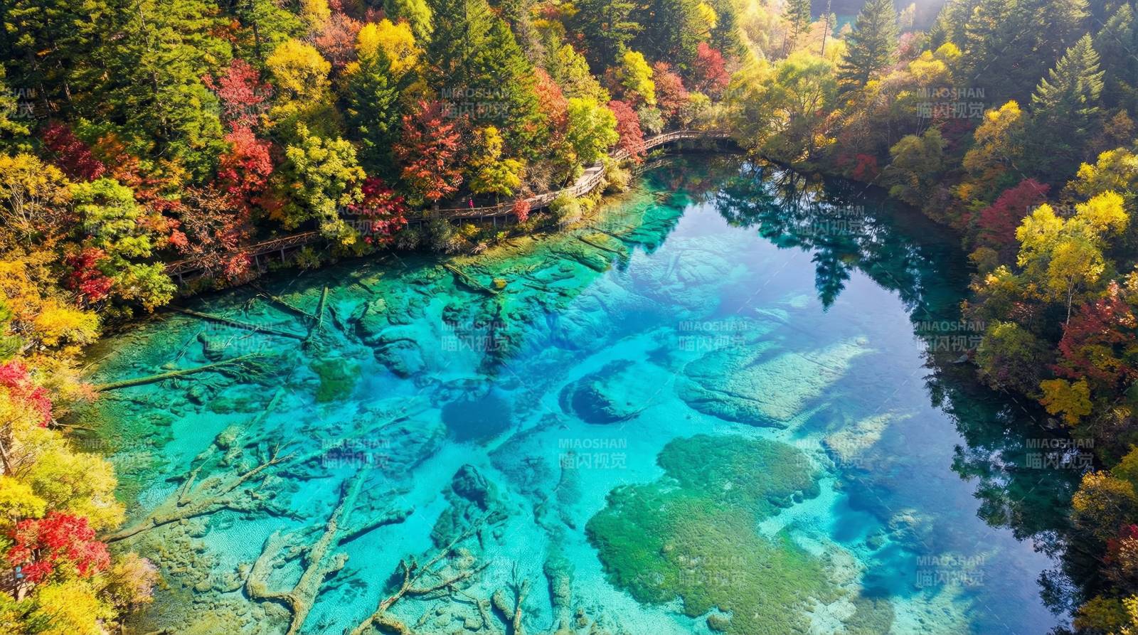 秋林碧水映彩林图片