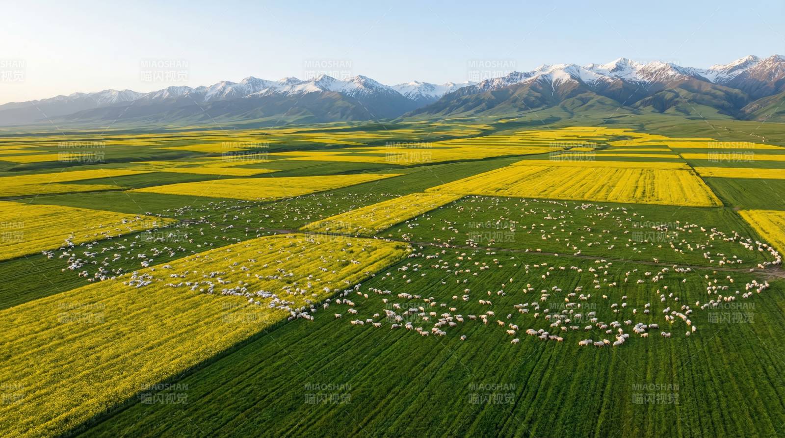 金田牧歌山影图片