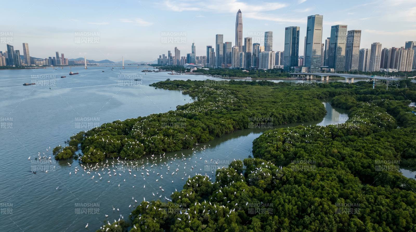 城市绿洲与海景图片