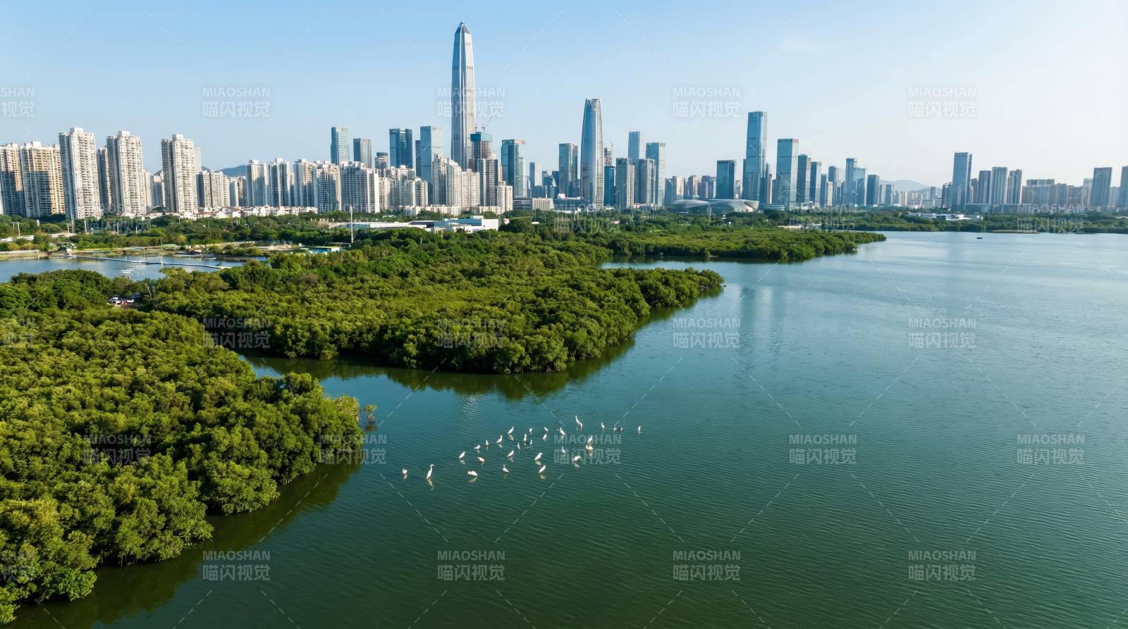 城市湖畔绿意盎然图片