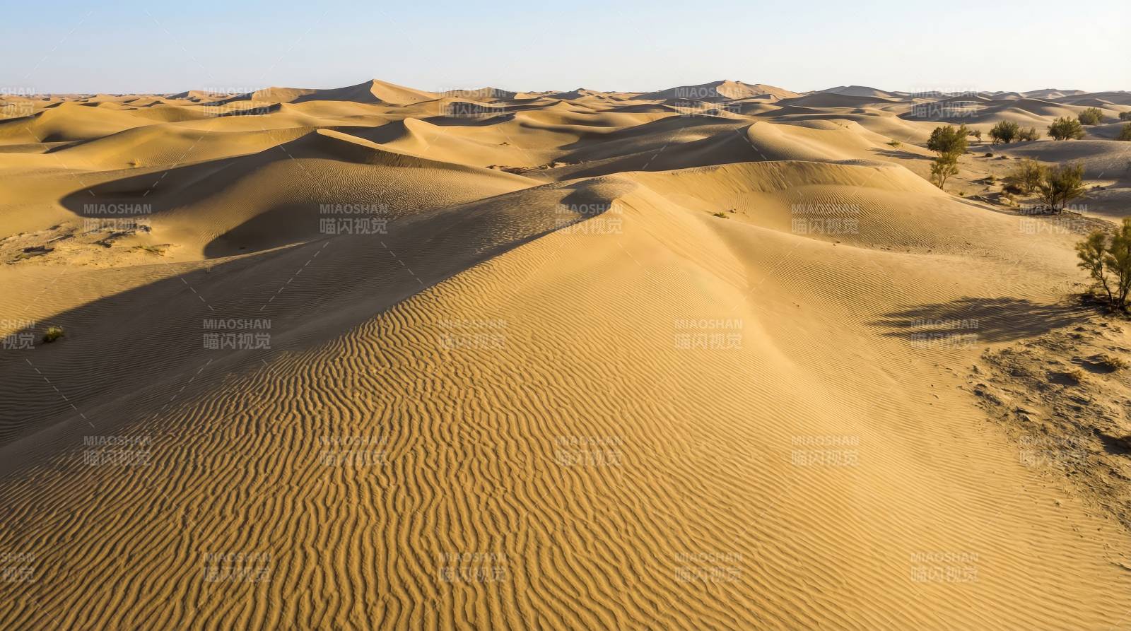 金色沙丘连绵起伏图片