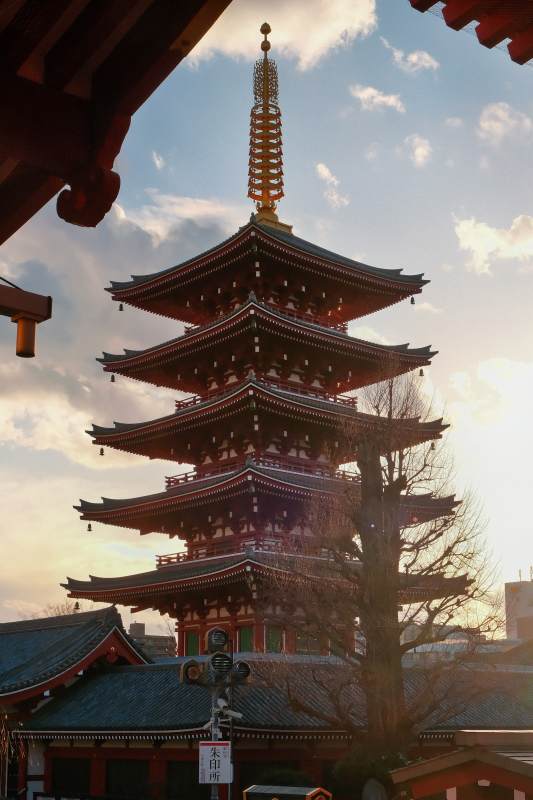 日本五重塔晨光图片