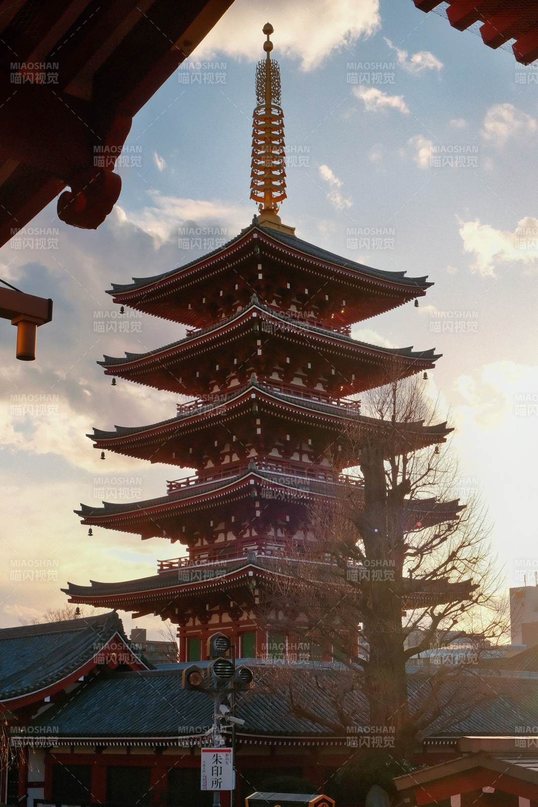 日本五重塔晨光图片