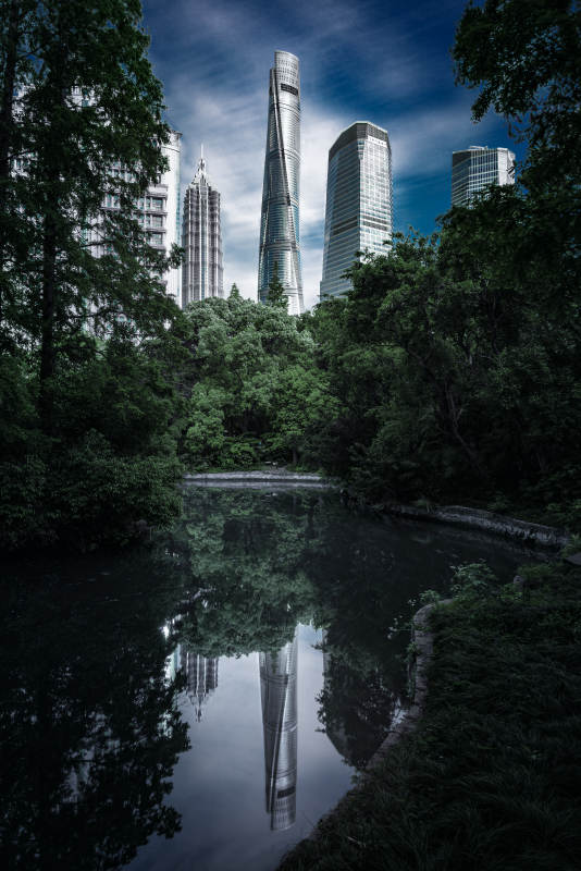 城市绿洲倒影  上海图片