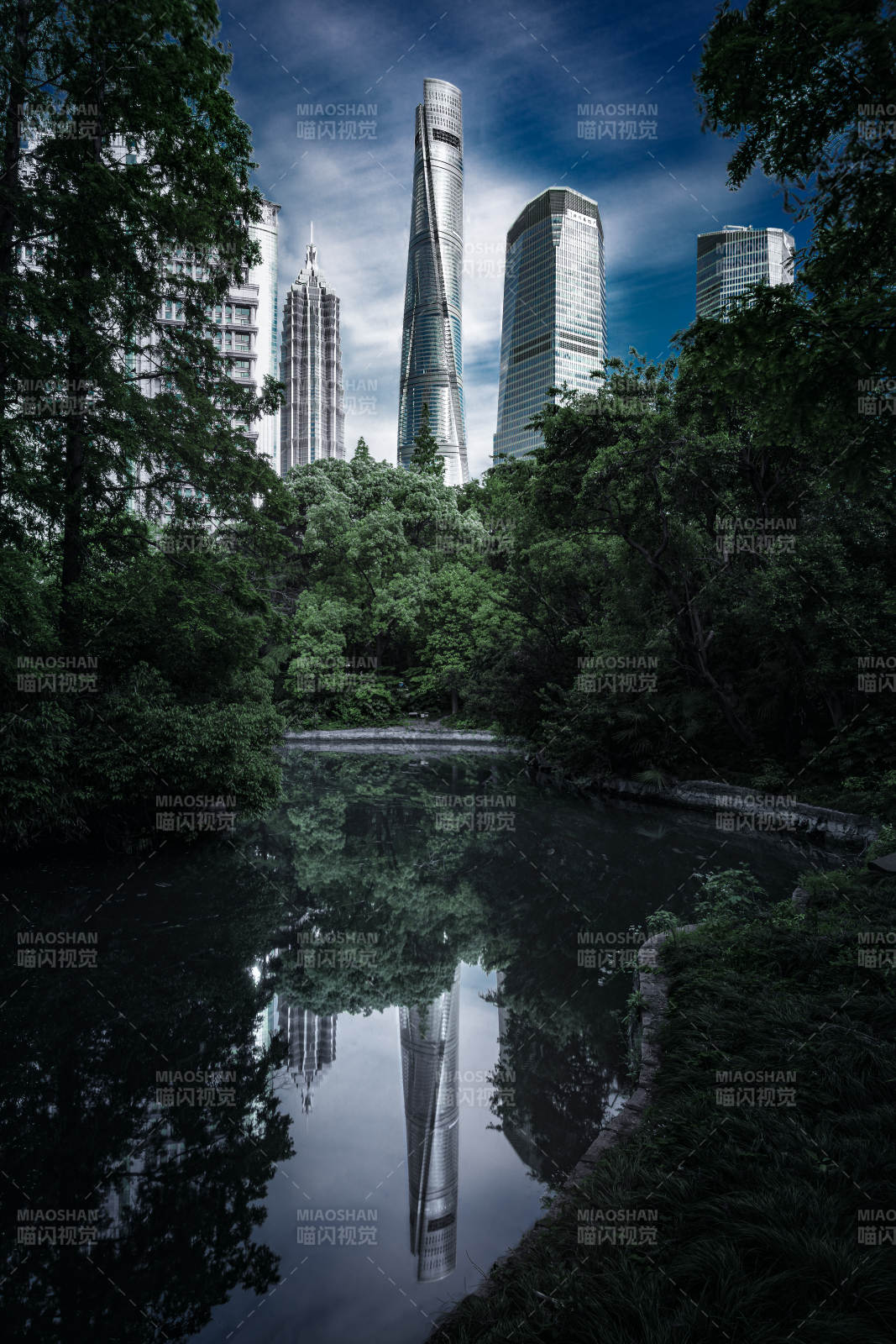 城市绿洲倒影  上海图片