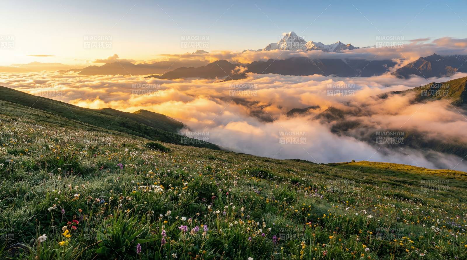 云海花坡日出图片