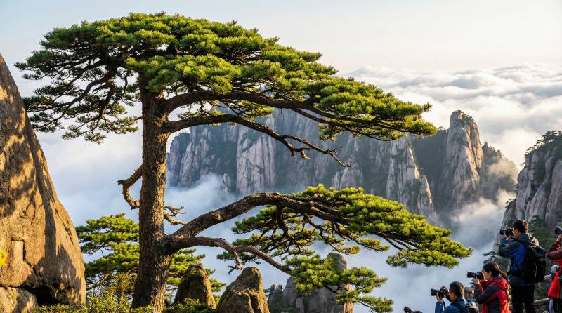 黄山松云奇景图片