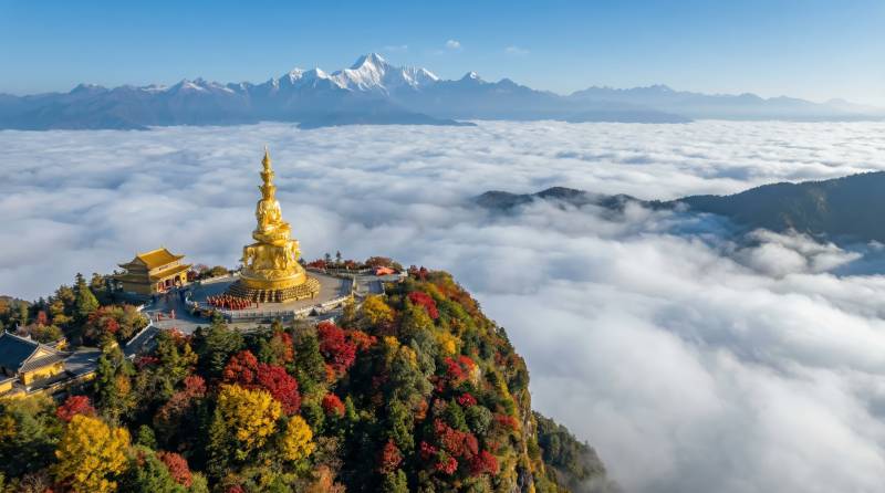 金顶云海秋色图片