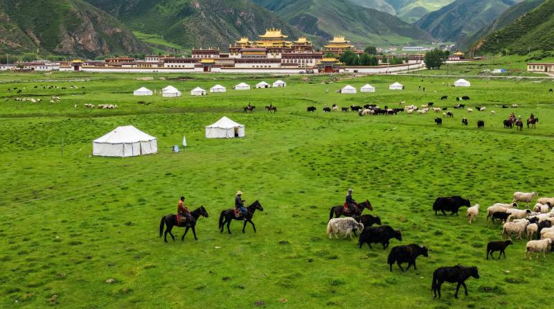 草原牧歌 马蹄声远图片