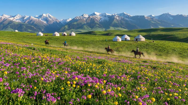 草原花海骑马图图片