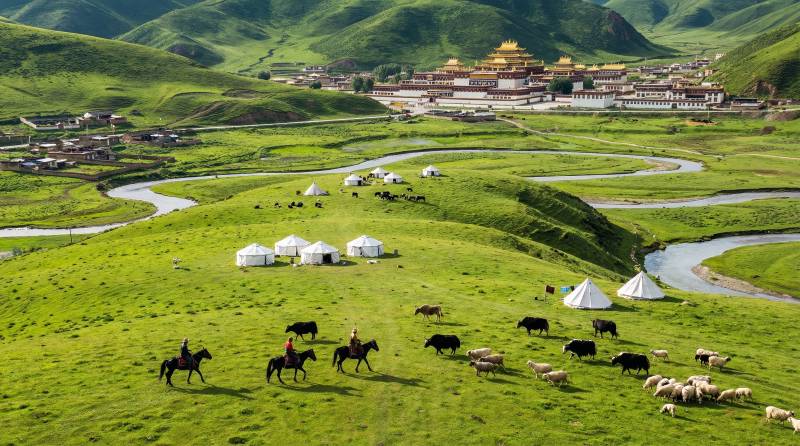草原牧歌 雪山圣殿图片