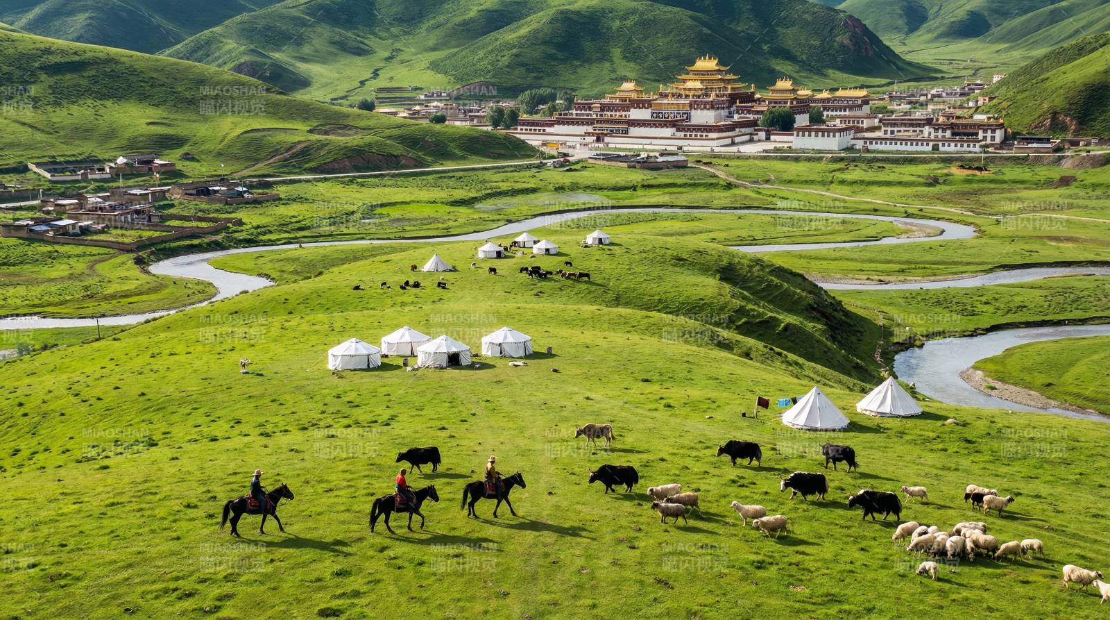 草原牧歌 雪山圣殿图片