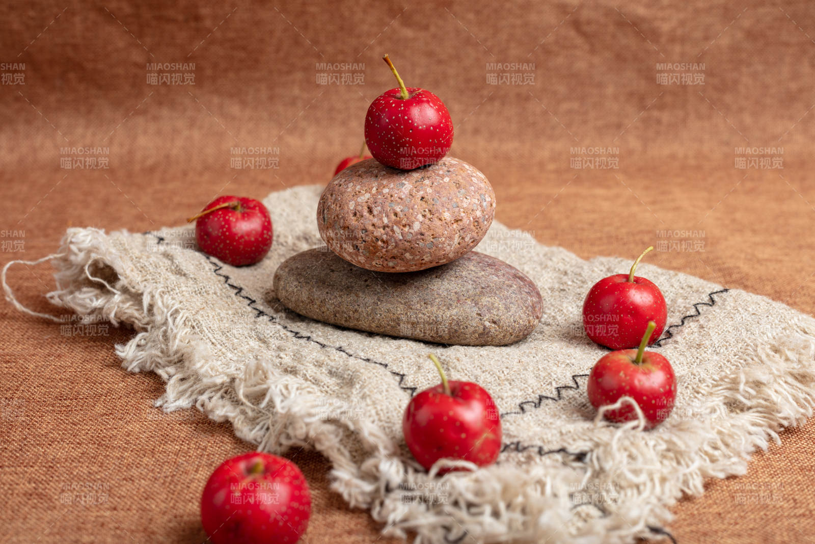 山楂叠石静物图图片