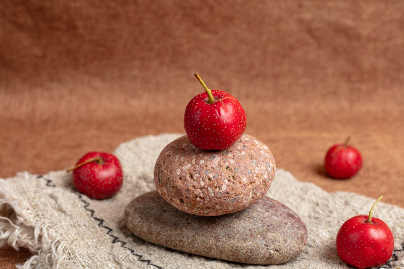 山楂叠石静谧图图片