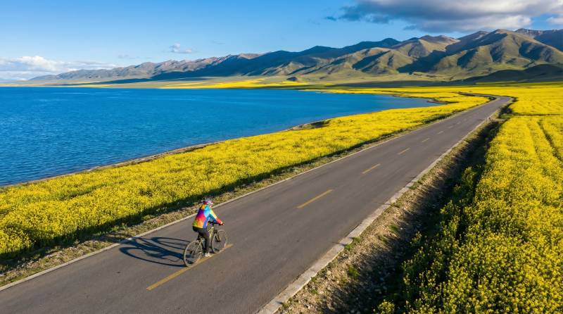 湖畔骑行赏花海图片