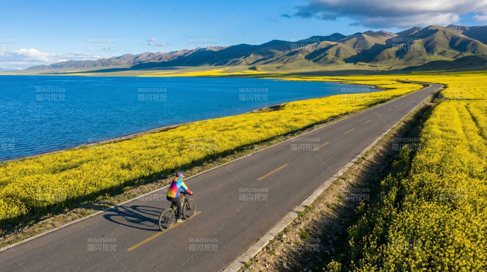 湖畔骑行赏花海图片