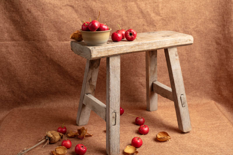 山楂静物图图片