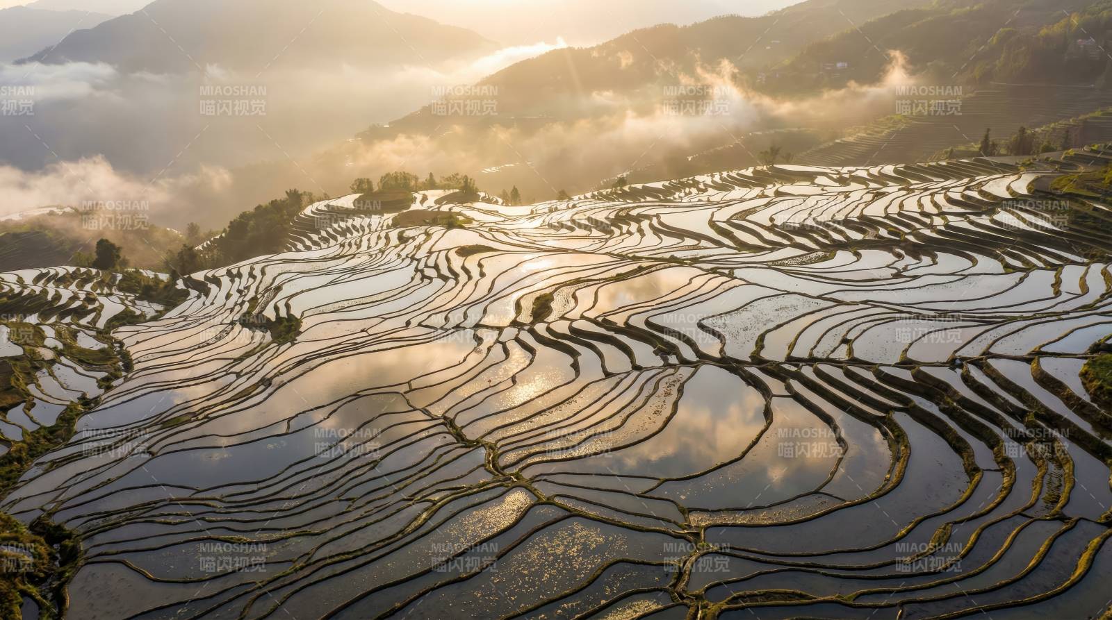 梯田晨曦图片