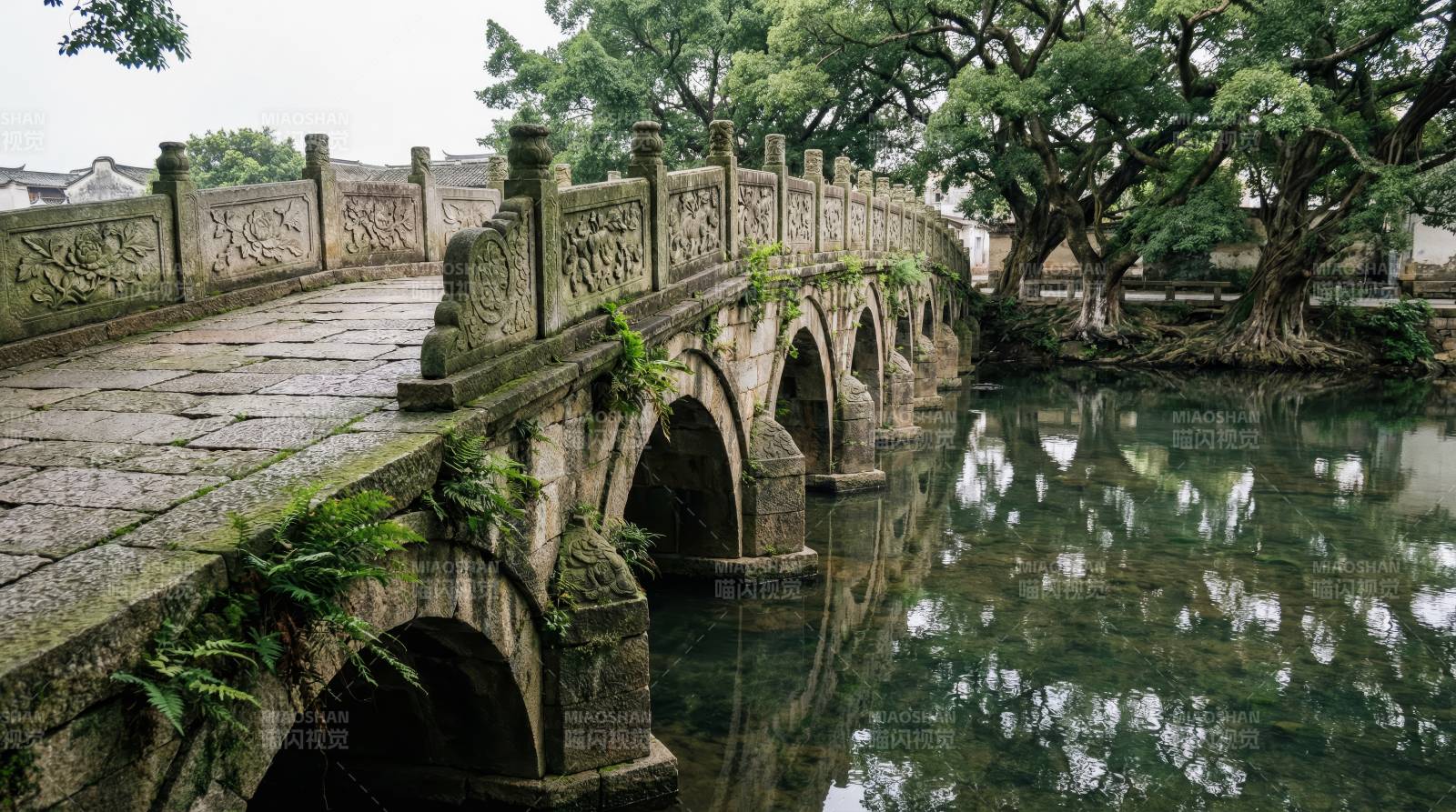 古桥映水 绿树成荫图片