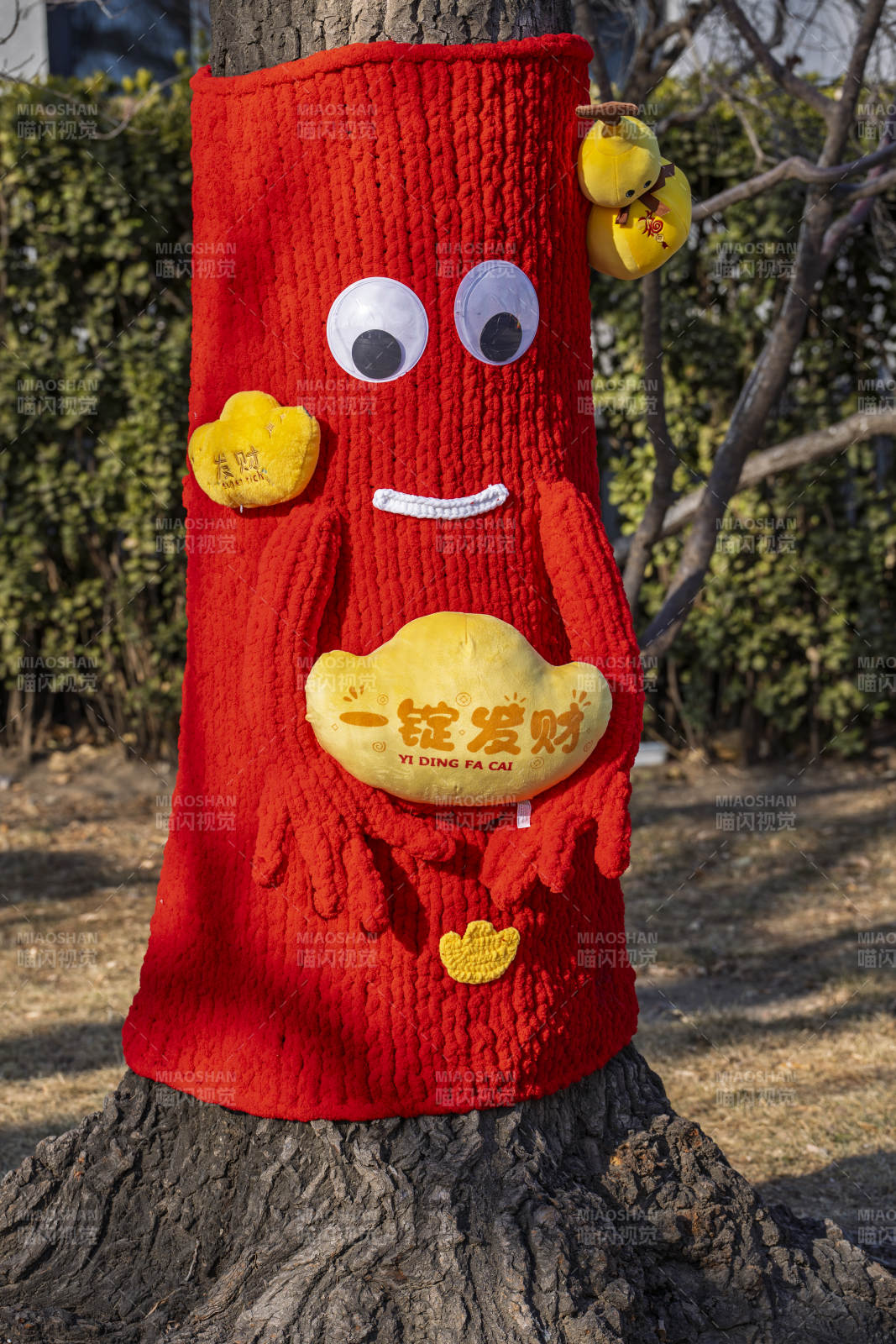 树穿红衣招财进宝图片