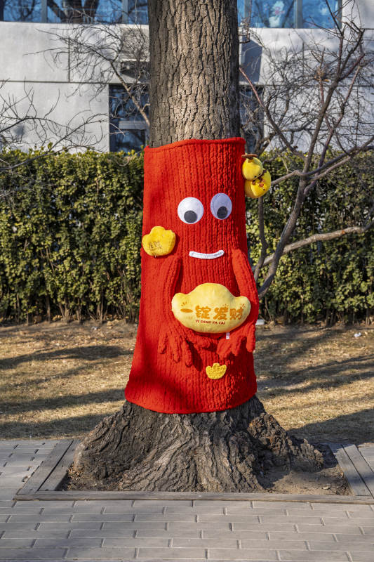 树穿红衣迎财神图片