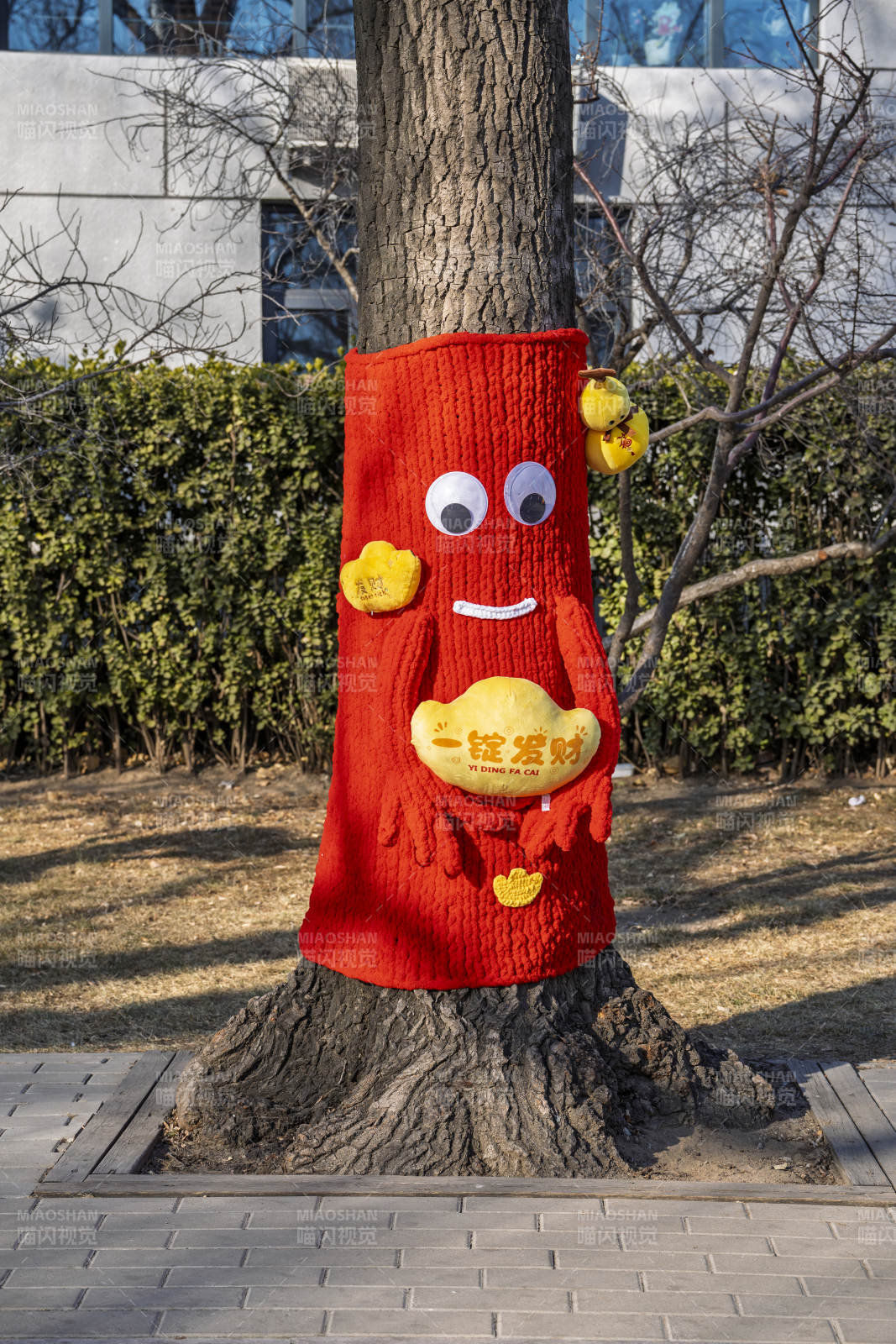 树穿红衣迎财神图片