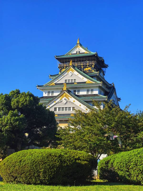 大阪城天守阁图片