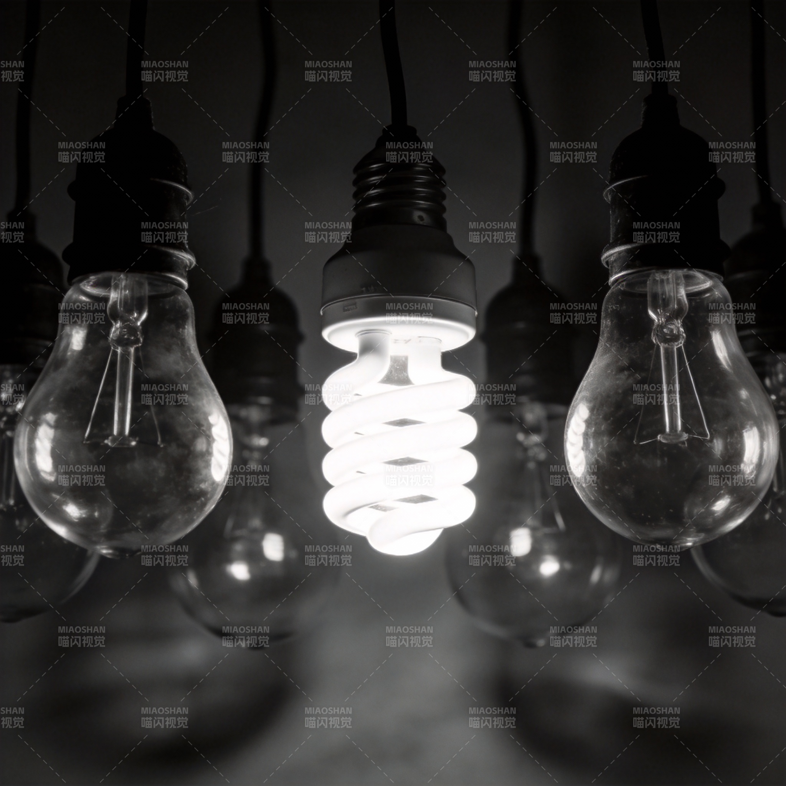 光明中的唯一图片