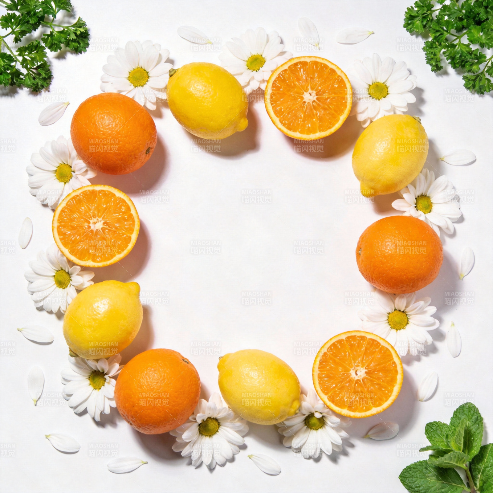 柑橘花环图片
