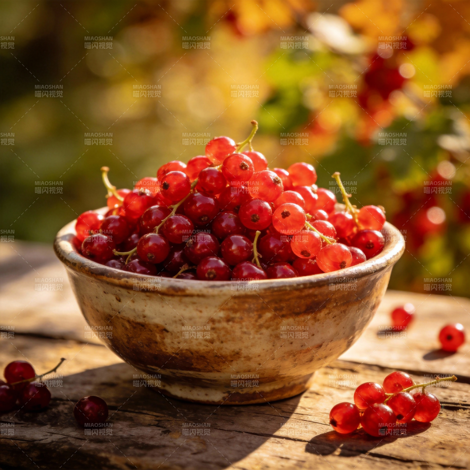 红果满碗秋意浓图片