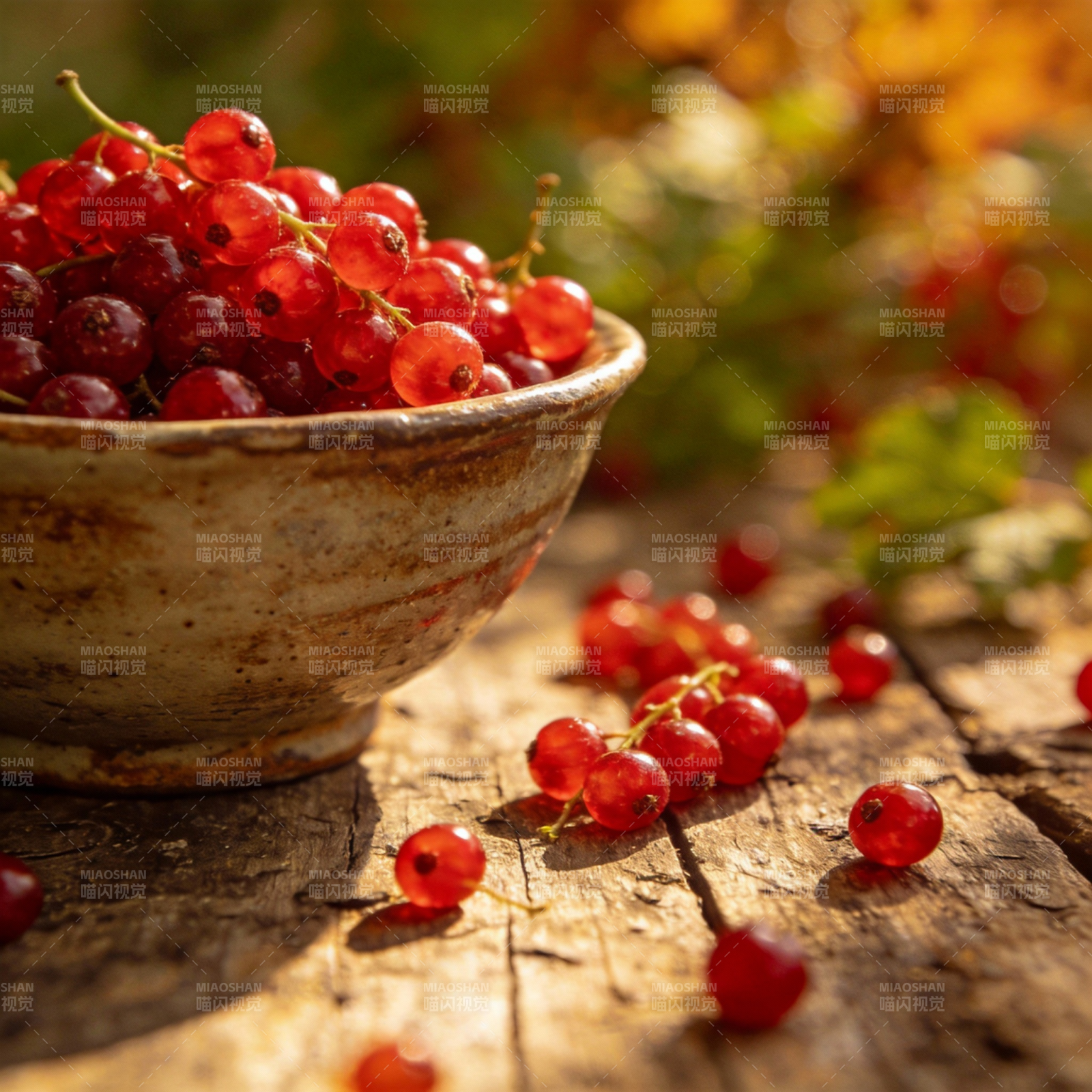 红果满碗秋意浓图片