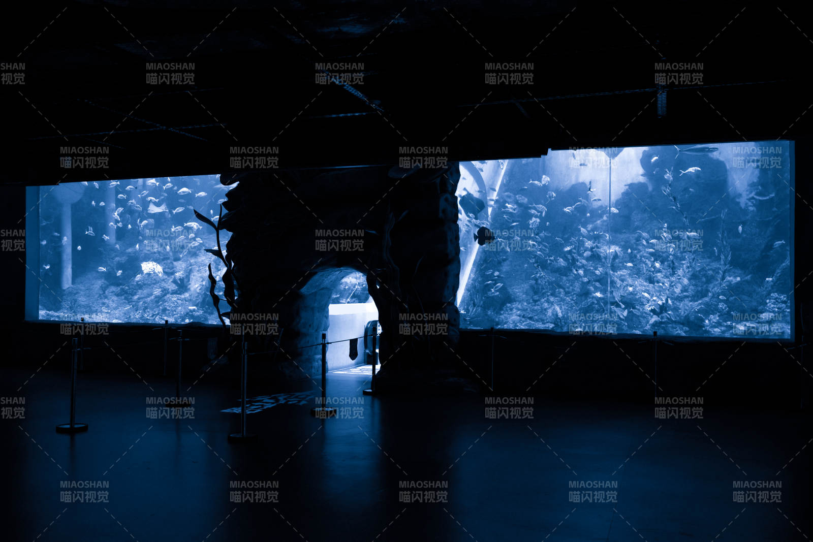 广州市海洋馆深海奇境探秘图片